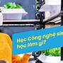 Công Nghệ Sinh Học Là Gì Sinh 10