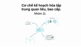 Nền Kinh Tế Kế Hoạch Hóa Tập Trung Dựa Trên Nguyên Tác Gì