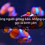 Nơi Bình Yên Nhất Không Phải Là Nơi Hoang Sơ Và Tĩnh Lặng