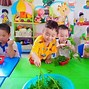 Trường Mầm Non Sunflower Đà Nẵng